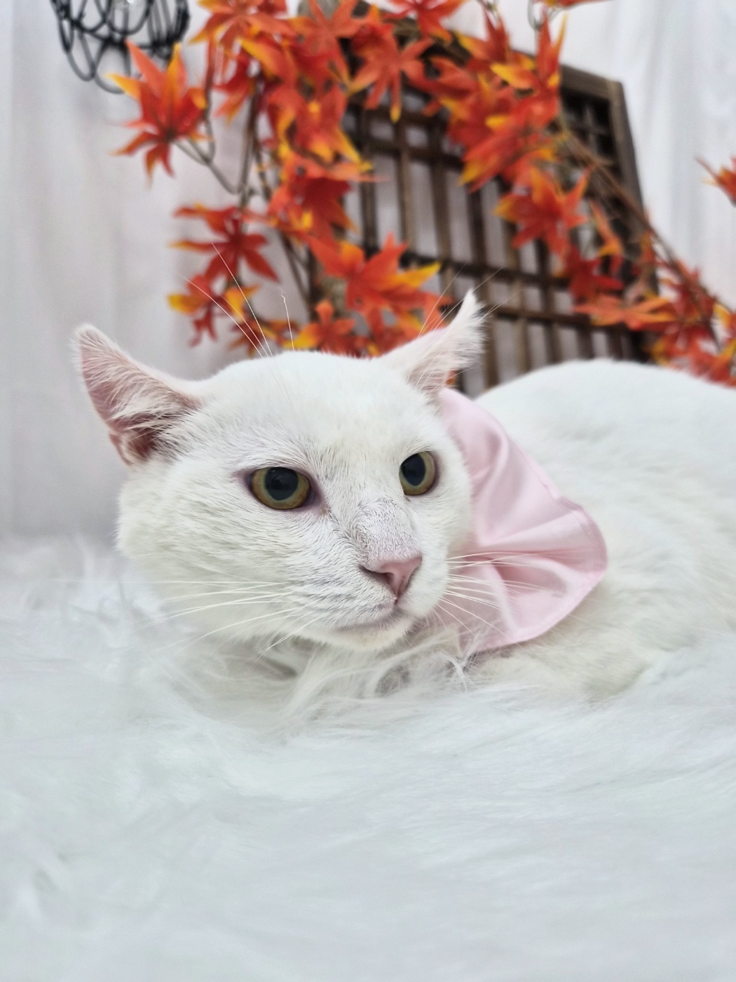 스토리 대표이미지